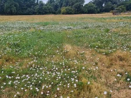 terrain à vendre de 1 616 00 m² coutras (33)