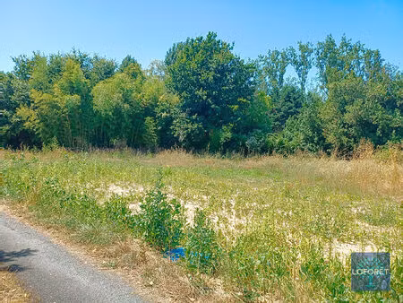 terrain notre-dame-de-riez 800 m2