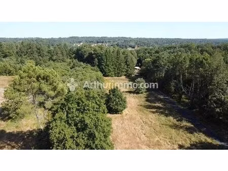 vente terrain 3390 m2 à neuvic