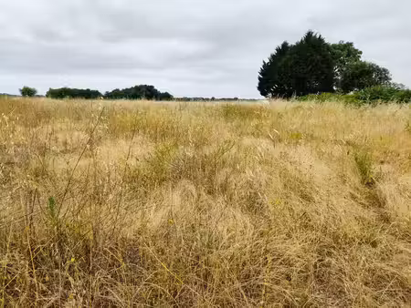 vente terrain 3799 m² saint-hilaire-du-bois (17500)