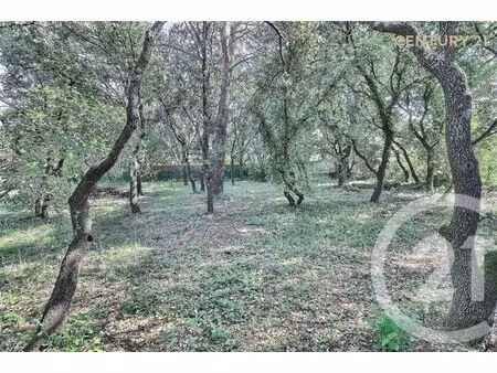 terrain à vendre - 900 m2 - st didier - 84 - provence-alpes-cote-d-azur