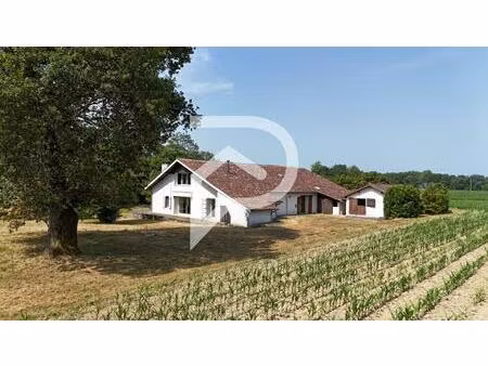 ferme landaise secteur saint vincent de tyrosse  7 pièces  330 m² sur 8 661 m² de...