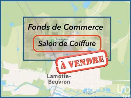 vente bureaux et commerces à lamotte-beuvron (41600) : à vendre / 35m² lamotte-beuvron