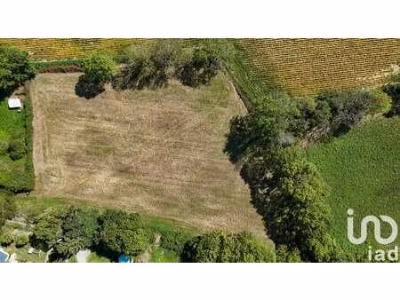 vente terrain à maspie-lalonquère-juillacq (64350) : à vendre / 3290m² maspie-lalonquère-j