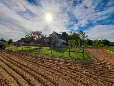 très rare dans la région  a vendre une propriété équestre de chevaux de courses  idéale po