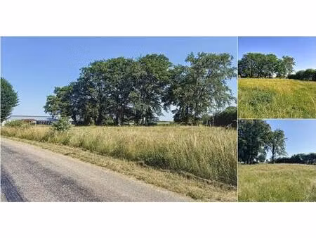 terrain à vendre de 1420 m² à beho (vbc97706)