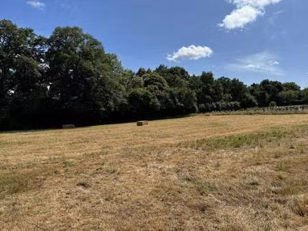 vente terrain à châteaubriant centre (44110) : à vendre / 908m² châteaubriant centre