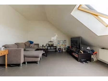 studio à vendre à pironchamps