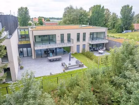 appartement à louer à hoogstraten € 919 (lavba) - di legno vastgoed | zimmo