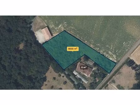 terrain idéal investissement