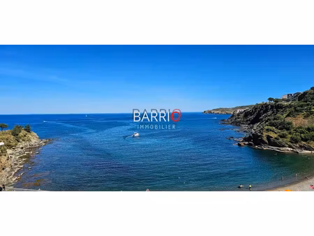 vente appartement 3 pièces 44 m² à banyuls-sur-mer (66650)  242 000 €