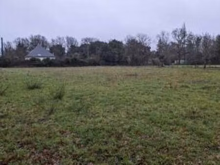 vente terrain à sarzeau golfe-nord (56370) : à vendre / 2088m² sarzeau golfe-nord
