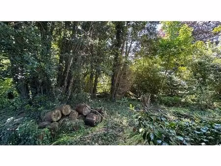 vente terrain à plougonvelin (29217) : à vendre / 1172m² plougonvelin