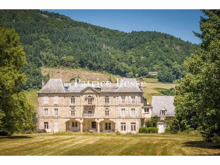 vente château 20 pièces 750 m² à ydes (15210)  534 000 €