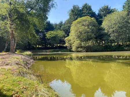 vente terrain à larchamp (53220) : à vendre / 5975m² larchamp