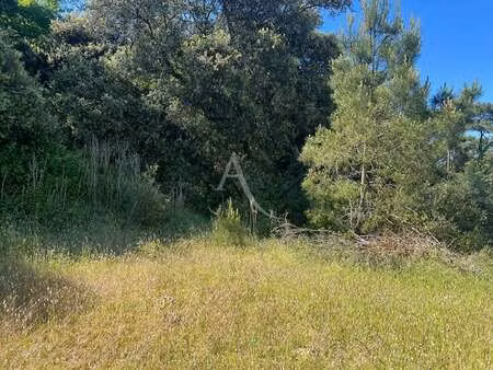 vente terrain à longeville-sur-mer (85560) : à vendre / 375m² longeville-sur-mer