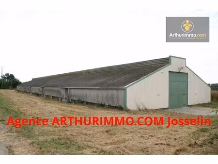 josselin grand entrepot de 1000 m² avec terrain