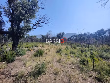 vente terrain 8000 m² à saint-andre (66690)  25 000 €