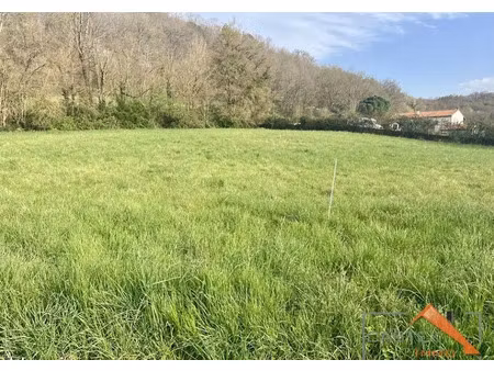 vente terrain 1081 m² à mane (31260)  35 500 €