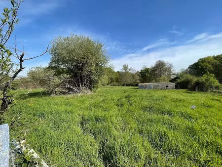 vente terrain 2100 m² à pugnac (33710)  75 000 €