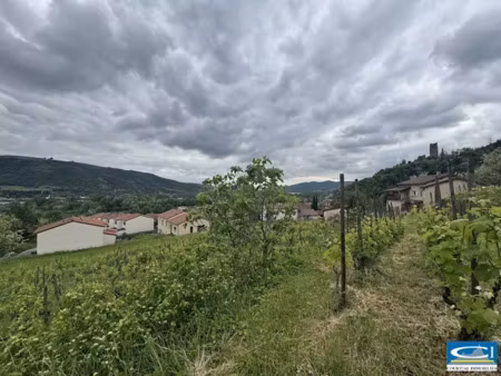 vente terrain à batir 980 m² à arras-sur-rhône (07370)  98 000 €