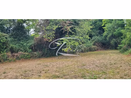 vente terrain à batir 4418 m² à saint-romain-la-virvée (33240)  108 000 €