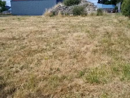 vente terrain 3511 m² à lorris (45260)  89 000 €