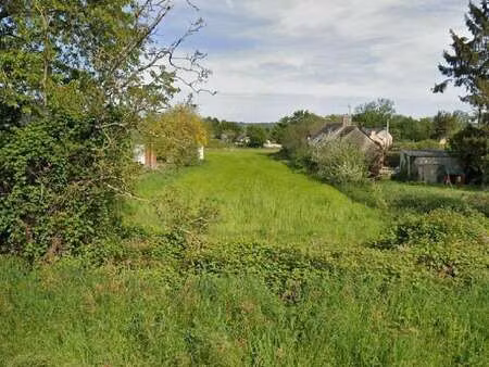 vente terrain à rieux (56350) : à vendre / rieux