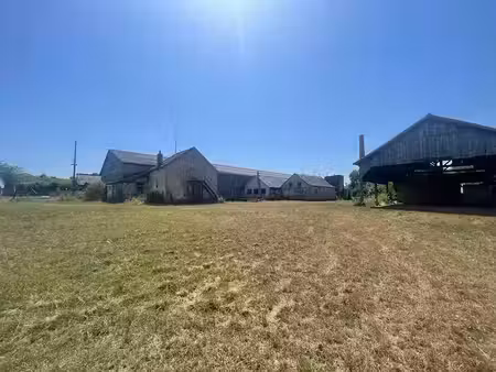 vente locaux professionnels 0 pièces 1900 m² à la charité-sur-loire (58400)  425 000 €
