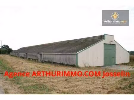 vente bureaux et commerces à josselin (56120) : à vendre / josselin