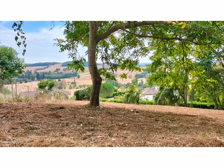 terrain constructible puycasquier(32120) 603m²