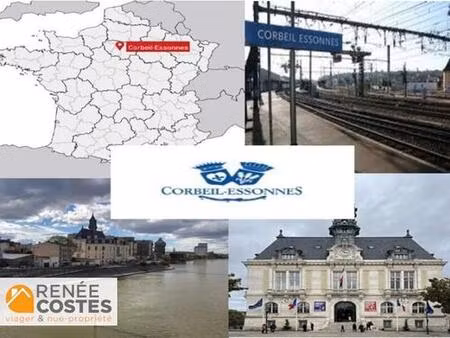 viager occupé - f74 ans - corbeil essonnes (91100)