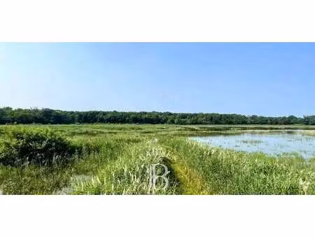 propriété mionnay (01)