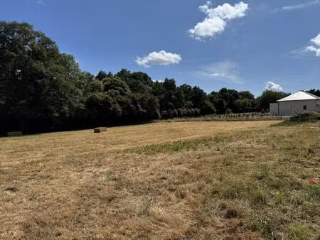 vente terrain châteaubriant 44110 - 78840 € - surface privée