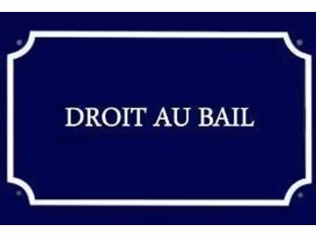 local professionnel à vendre les sables d'olonne 270m2 45 000€