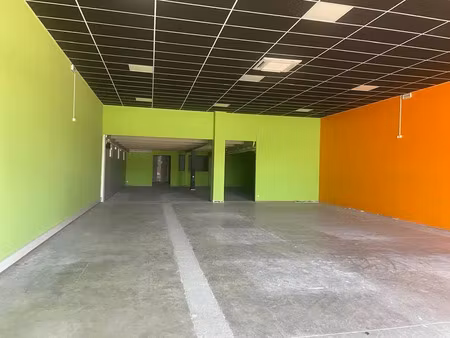 a louer 484 m² - odos (65)