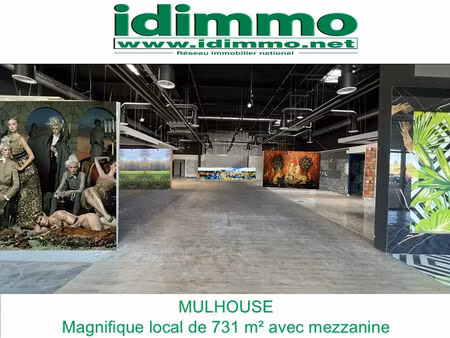 location commerce 731 m² à mulhouse (68100)