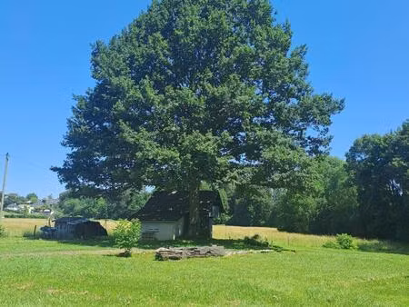 vente maison 11 pièces 230 m² asson (64800)