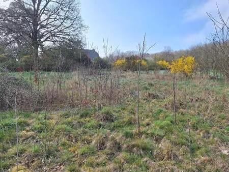 vente terrain à bovel (35330) : à vendre / 950m² bovel