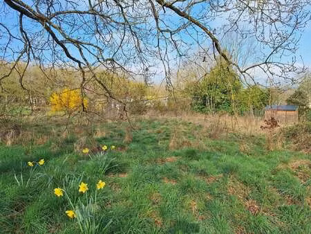 vente terrain à bovel (35330) : à vendre / bovel