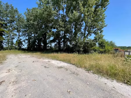 vente terrain à batir 1343 m² à louer (40380)  35 000 €