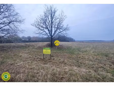 vente terrain 2471 m² à tracy-sur-loire (58150)  32 000 €