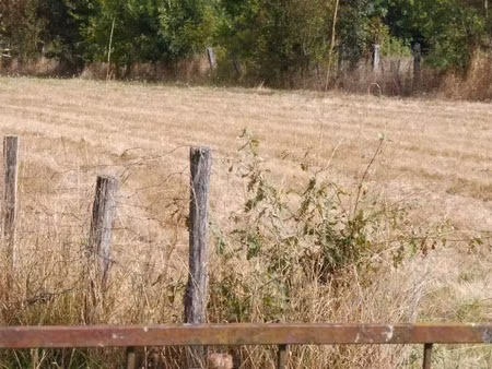 vente terrain 1224 m² à saint-médard-de-guizières (33230)  45 500 €