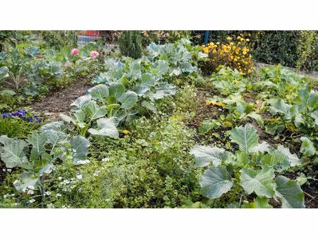 jardin d'agrement grisy-suisnes