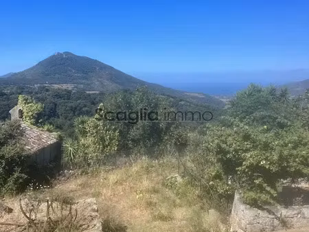 vente terrain 305 m² à fozzano (20143)  88 000 €