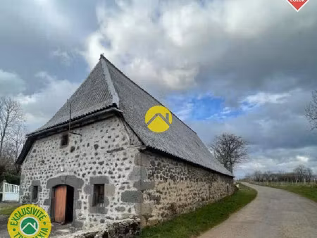 vente locaux professionnels 314 m² à thérondels (12600)  48 150 €