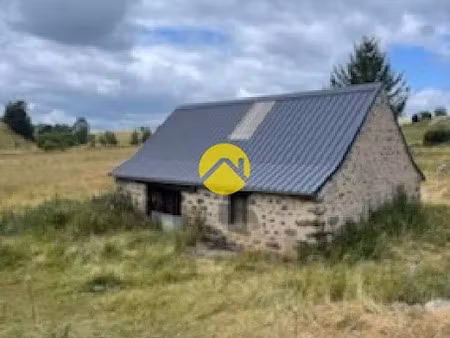 vente locaux professionnels 40 m² à pierrefort (15230)  67 500 €