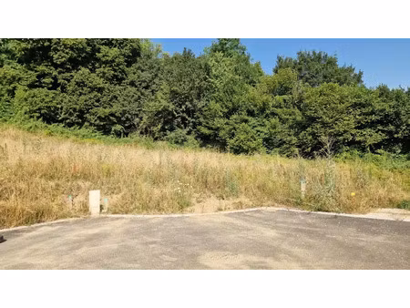 vente terrain à batir 994 m² à lornay (74150)  150 000 €