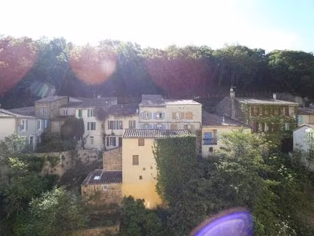 studio avec vue dégagée sur la rivière et la montagne à 20m des thermes