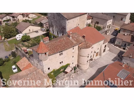 achat maison 10 pièces 275m² pont en royans 38680